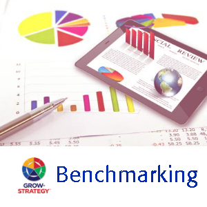 Benchmarking