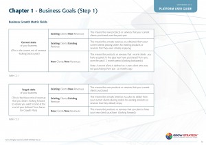 Business Goals P15