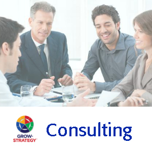 Consulting